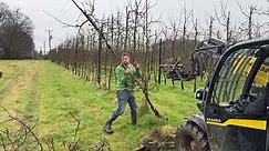 British farmers will plant a million less apple trees this year as costs soar and supermarkets squee