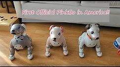Unboxing the FIRST official Sony ERS-1000 aibo PinkBo in the US. Meet Caddi the ERS-1000/P