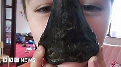 Boy, six, finds giant megalodon shark tooth on Bawdsey beach