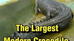 The Largest Crocodile Ever Recorded
