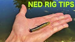 Choosing The Right Size Jig (Ned Rig Tips)