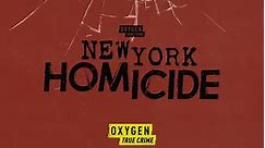 New York Homicide: Season 2 Episode 3 The Brooklyn Murder Rampage