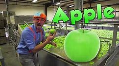 BLIPPI Visits an Apple Fruit Factory | Kids Fun & Educational Cartoons | Moonbug Play and Learn