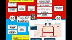 A level Biology: Endotherm Temperature control