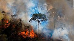Sequía y deforestación encaminan al Amazonas hacia una destructiva temporada de incendios
