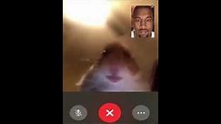 Hamster and Kanye's Awkward Facetime Call (10 Hours)