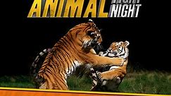 Animal Fight Night Season 3 Episode 1 Brutal Brawls