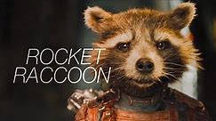The Story of Rocket Raccoon