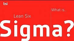 Lean Six Sigma - How it is used in the real world
