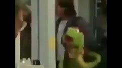 Kermit Monkey