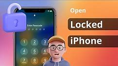 [3 Ways] How to Open a Locked iPhone without Computer or Password 2024