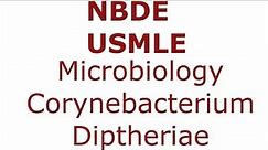 Corynebacterium Diptheriae - G+ RODS NBDE & USMLE