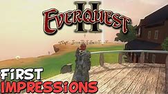 EverQuest 2 First Impressions "Is It Worth Playing?"