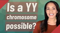 Is a YY chromosome possible?