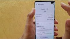 Samsung Galaxy S10 / S10+: How to Enable Developer Options