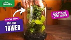 How to build a lava rock tower terrarium | Step-by-step project + plant names