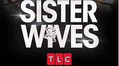Sister Wives: Season 18 Episode 7 Throwing in the Towel