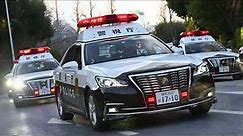 【高音質音源】パトカーサイレン（単発） Japanese police car siren