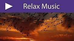 3 HOURS Easy Listening Music to Free Your Mind from Worries and Breathe Deeply