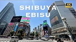 [4K] SHIBUYA→EBISU in Tokyo 🐧 Nonstop Walking Tour / 渋谷から恵比寿 散歩