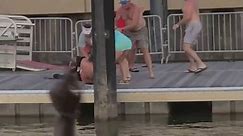 Massive brawl at Montgomery, Alabama riverfront dock caught on video