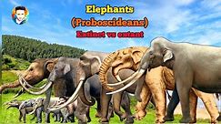 ELEPHANTS - Size comparison | All proboscideans.