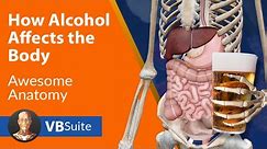 How Alcohol Affects the Body
