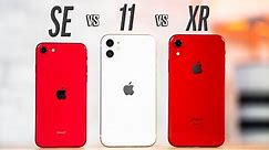 iPhone SE vs 11 vs XR - All of the Hidden Differences!