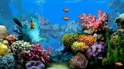 Living Marine Aquarium 2 Screensaver - 100% Free Guaranteed!