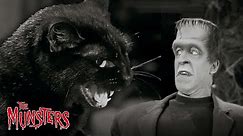Best Of The Munsters Pets | Compilation | The Munsters
