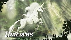 The History of Unicorns (Mysterious Legends & Creatures #7)