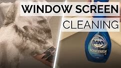 How to Clean your Window Screens - 2 Methods