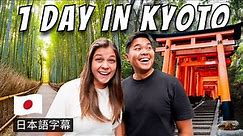 Day Trip to Kyoto from Osaka (just avoid our mistake)