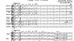 Georges Bizet: Symphony in C (Artur Rodziński/NY Phil, 1949) *HQ Audio - Stereo*