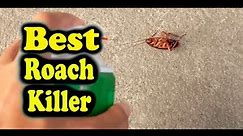 Consumer Reports Best Roach Killer : The Top 5