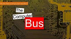 The Bus | How the computer works?