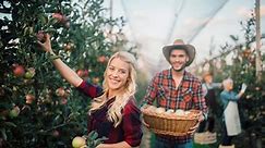 75 Apple Picking Captions for Instagram That Are Apple-solutely Adorable | LoveToKnow