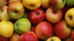 25 (Yes 25!) Types of Apples You Need to Enjoy This Fall