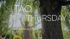 Accepting Pain _ Tao Thursday with Ilchibuko Todd _ LOVE HEALS Film