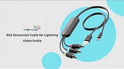 YEHUA RCA Conversion Cable for Lightning
