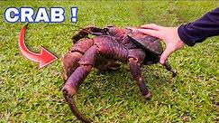 CATCHING THE LARGEST CRAB IN THE WORLD !