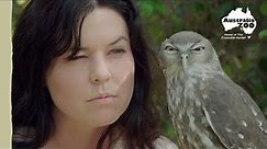 The owl that says Woof! | Australia Zoo Life