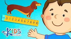 Measuring Length: Centimeters, Inches, Feet and Yards | Math for 2nd Grade | Kids Academy