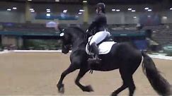 US Dressage Finals 2019-1st Level Musical Freestyle Open Championship