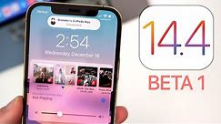 iOS 14.4 Beta 1 Released - What's New?