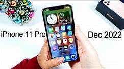 iPhone 11 Pro December 2022 Review (Wife Edition)