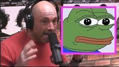 Joe Rogan on Pepe the Frog Meme Outrage