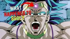 Dragon Ball Z Broly The Legendary Super Saiyan in 7 Minutes