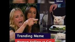 Know Your Meme 101: Woman Yelling at a Cat
