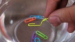 Fun & Easy Science Experiments